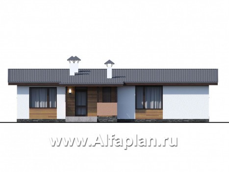 Проекты домов Альфаплан - «Зита» - просторный коттедж в один этаж с сауной и джакузи - превью фасада №4