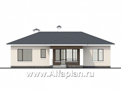 Проекты домов Альфаплан - «Безоблачный» - экономичный и комфортный одноэтажный дом - превью фасада №4