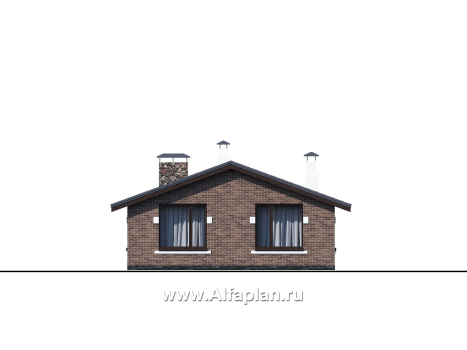 «Родия» - проект одноэтажного дома, 2 спальни, с террасой и двускатной крышей, в скандинавском стиле - превью фасада дома