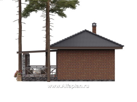 Проекты домов Альфаплан - Баня с большой террасой (каркасный дом) - превью дополнительного изображения №6