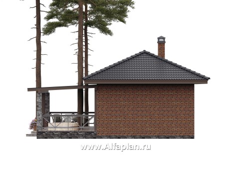 Проекты домов Альфаплан - Баня с большой террасой (каркасный дом) - превью дополнительного изображения №5